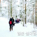 스노우몬스터 이미지