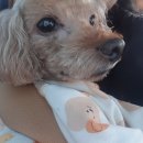 베이시티 동물병원 이미지