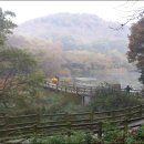 모텔돼지꿈 이미지