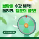 찬스원격평생교육원