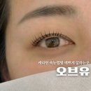 구미 옥계 속눈썹펌 오브유 노글루 케라틴펌 받고온 후기