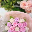 주공8단지 바상가앞 이미지