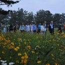 제주달빛 이미지