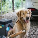 은준농장 | 여주 팜스퀘어 수도권 장박 캠핑장~ 우동체험학교