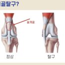 좋은강아지 이미지