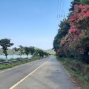 관기방조제 이미지