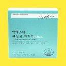 에스더 - 영도구 태종로 260 | 에스더