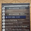 브로우원