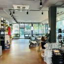 게으른 악어 이미지