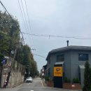 펌킨 펫하우스 청담 이미지