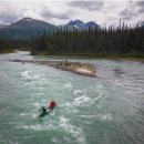 비버피시 이미지