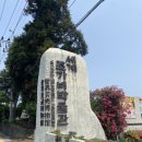 세계조가비박물관 | 서귀포 시내에서 가볼만한곳 '세계조가비박물관'