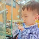용인농촌테마파크 다목적교육관 이미지