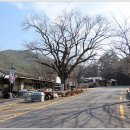 용연사 집단시설지구 이미지