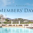 높은데이 스테이 이미지