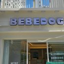 베베독 강아지분양 대구본점 | ♥대구 강아지분양,애견분양 전문점-"BEBEDOG" 애견분양장,강아지분양장 설치!!!!♥