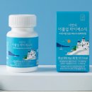 나만의건강by설리마켓