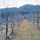 성진농장 2 이미지