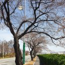 낙동강변로-4 네이버블로그