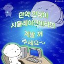 더일상마켓 이미지