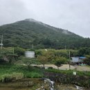 천년 역사 속 옛길 | 해남 대흥사 천년 숲길 따라 만난 고즈넉한 사찰 여행