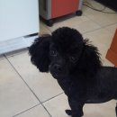 스피드 손 세차장 이미지