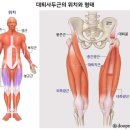 반반 피트니스 이미지