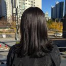 아반자헤어 | 대전 미용실 염색 잘하는 곳 :: 아반자 헤어 ""다크에쉬브라운