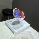 눈에손안과의원 이미지