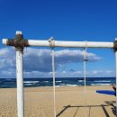 향호농장 | 강원도 강릉 가볼만한곳 겨울겨울한 6곳