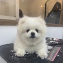 덕이 미장원 이미지