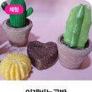 영농조합법인 누리생태원 이미지