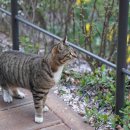 Hi-DS 정비센타 이미지