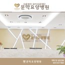 의료법인와이의료재단 이미지