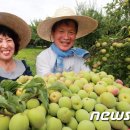 김연화농장 이미지