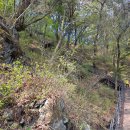 치악산둘레길 11코스 한가터길 이미지