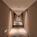 한동당약국 | 중국 북경 여행 : 선월드 다이너스티 왕푸징 호텔 체크인 (밤 풍경, 룸 컨디션, 배달 가능)