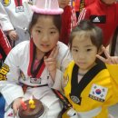 리라태권도 이미지