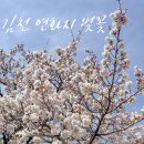 빅토리워시 김천신음점 | 김천 연화지 벚꽃 개화상황 주차 정보 먹거리 후기