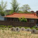 늘푸른장 이미지