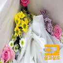 경인장례원 네이버블로그