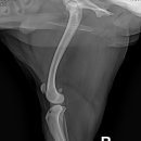 개금동물병원 이미지