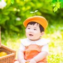 나무스튜디오 이미지