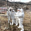 괴산군농업연구소 이미지