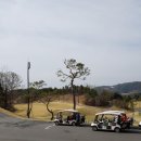 양프로골프스쿨 이미지