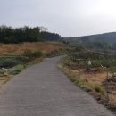 삼화1리 이미지