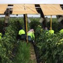 정한농장 이미지