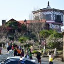 매화랜드 이미지