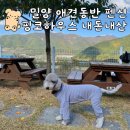 멍멍이를 부탁해 | 밀양 애견독채펜션 핑코하우스 애견동반 내돈내산 찐후기
