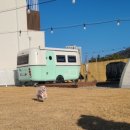 원종셀프어시장 이미지